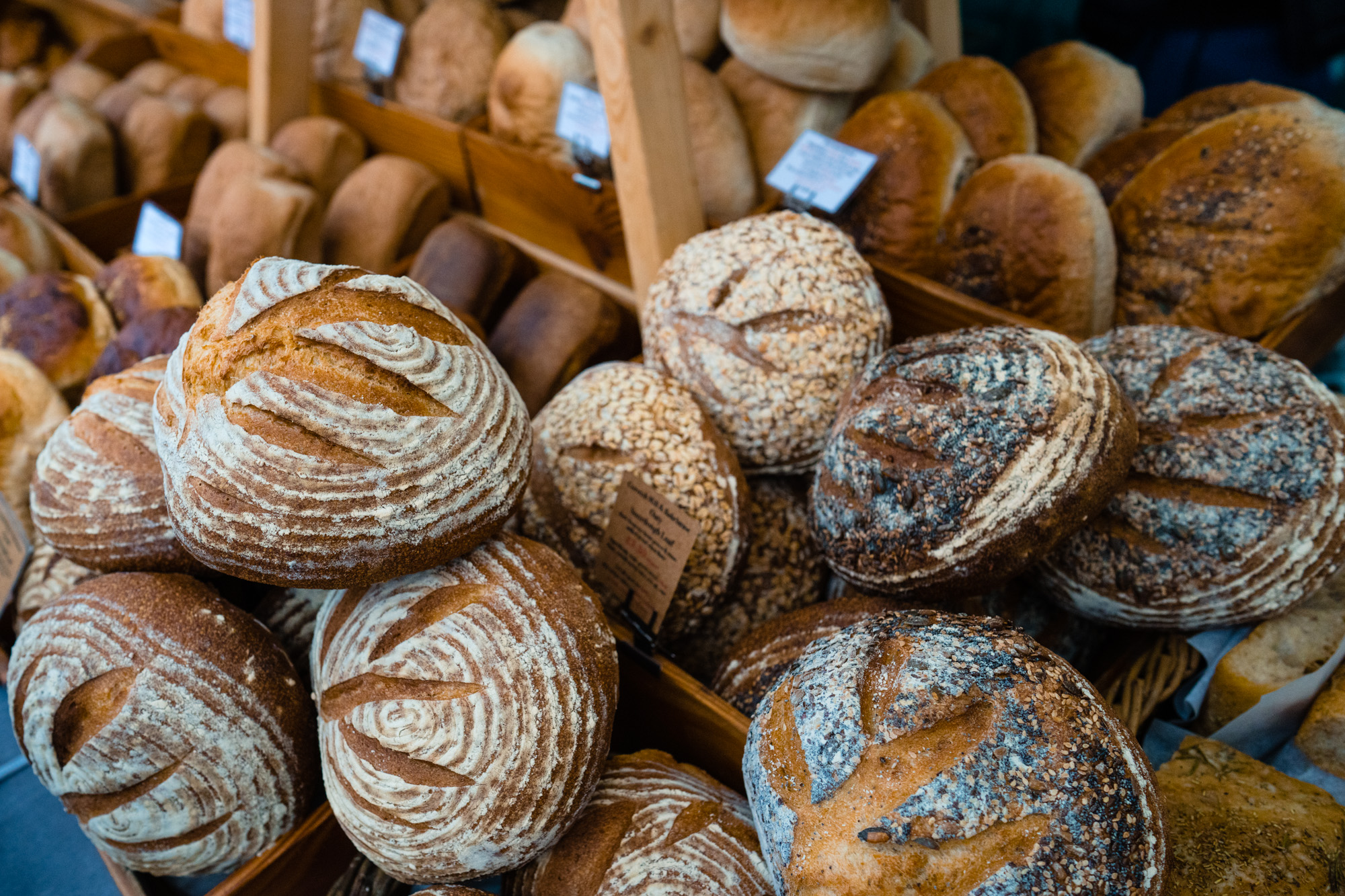 We are back for 2026 – Here All Year Round